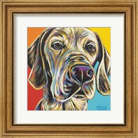 Framed 'Canine Buddy II' border=