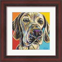 Framed 'Canine Buddy II' border=