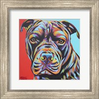 Framed 'Canine Buddy III' border=