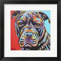 Framed Canine Buddy III