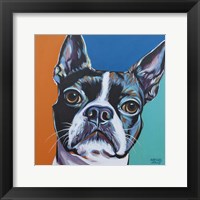 Framed 'Dog Friend III' border=