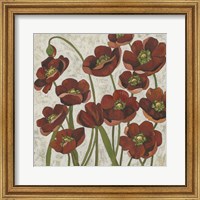 Framed 'Sangria Poppies I' border=