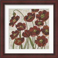 Framed 'Sangria Poppies I' border=