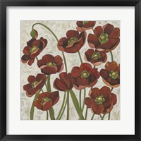 Framed 'Sangria Poppies I' border=