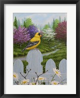 Framed Goldfinch and Daisies