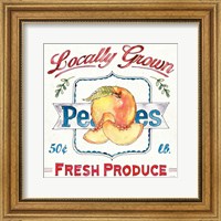 Framed 'Fruit Stand III' border=