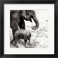 Framed Mother and Daughter