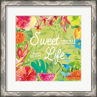 Framed 'Tutti Frutti X' border=