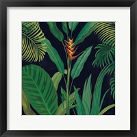 Framed 'Dramatic Tropical II' border=