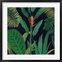 Framed 'Dramatic Tropical II' border=