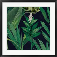 Framed 'Dramatic Tropical I' border=