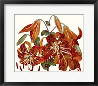 Framed Striking Coral Botanicals II