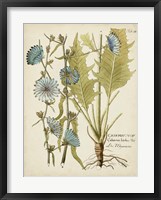 Eloquent Botanical I Framed Print