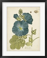 Eloquent Botanical IV Framed Print