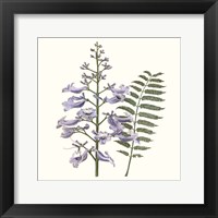 Framed 'Graceful Botanical III' border=