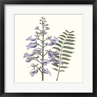 Framed 'Graceful Botanical III' border=