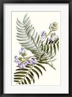 Graceful Botanical IV Framed Print