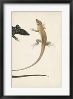 Lizard Diptych II Framed Print