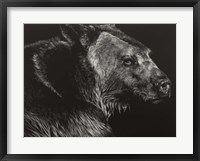 Framed Wild Scratchboard II