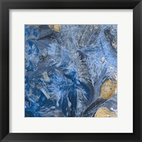 Framed 'Gilded Indigo III' border=