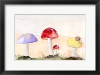 Faerie Mushrooms II Framed Print