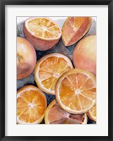 Framed Fruit Slices III