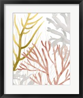 Desert Coral II Framed Print