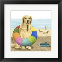 Let's Go for a Boardwalk III Framed Print