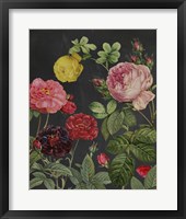 Redoute's Bouquet II Framed Print