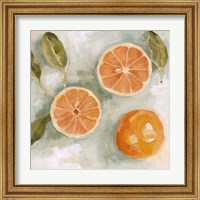 Framed 'Fresh Citrus III' border=