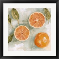 Framed 'Fresh Citrus III' border=