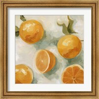 Framed 'Fresh Citrus IV' border=