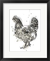 Feathered Fowl IV Framed Print