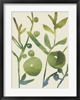 Spring Sprig I Framed Print