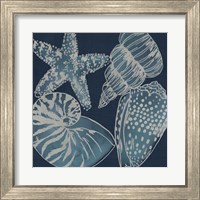 Framed 'Marine Shells I' border=