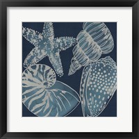 Framed 'Marine Shells I' border=