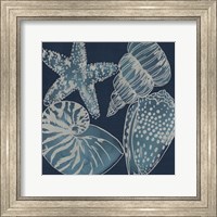 Framed 'Marine Shells I' border=