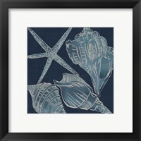 Framed 'Marine Shells III' border=