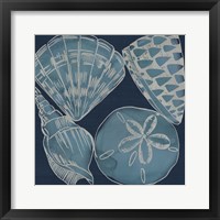 Framed 'Marine Shells IV' border=