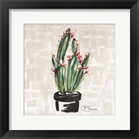 Framed Blooming Cactus