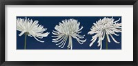 Framed Morning Chrysanthemums V Dark Blue