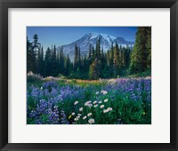 Framed Mount Rainier