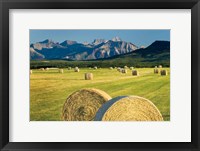 Framed Waterton Hay Bales