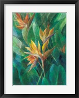 Framed Bird of Paradise II