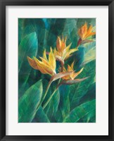 Framed Bird of Paradise I