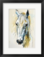 Framed Horse Head