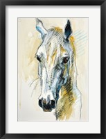 Framed Horse Head