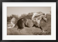 Framed Platinum Centerfold (sepia)