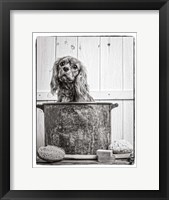 Framed Vintage Puppy Bath