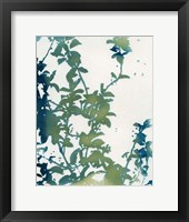 Framed Shadow Floral